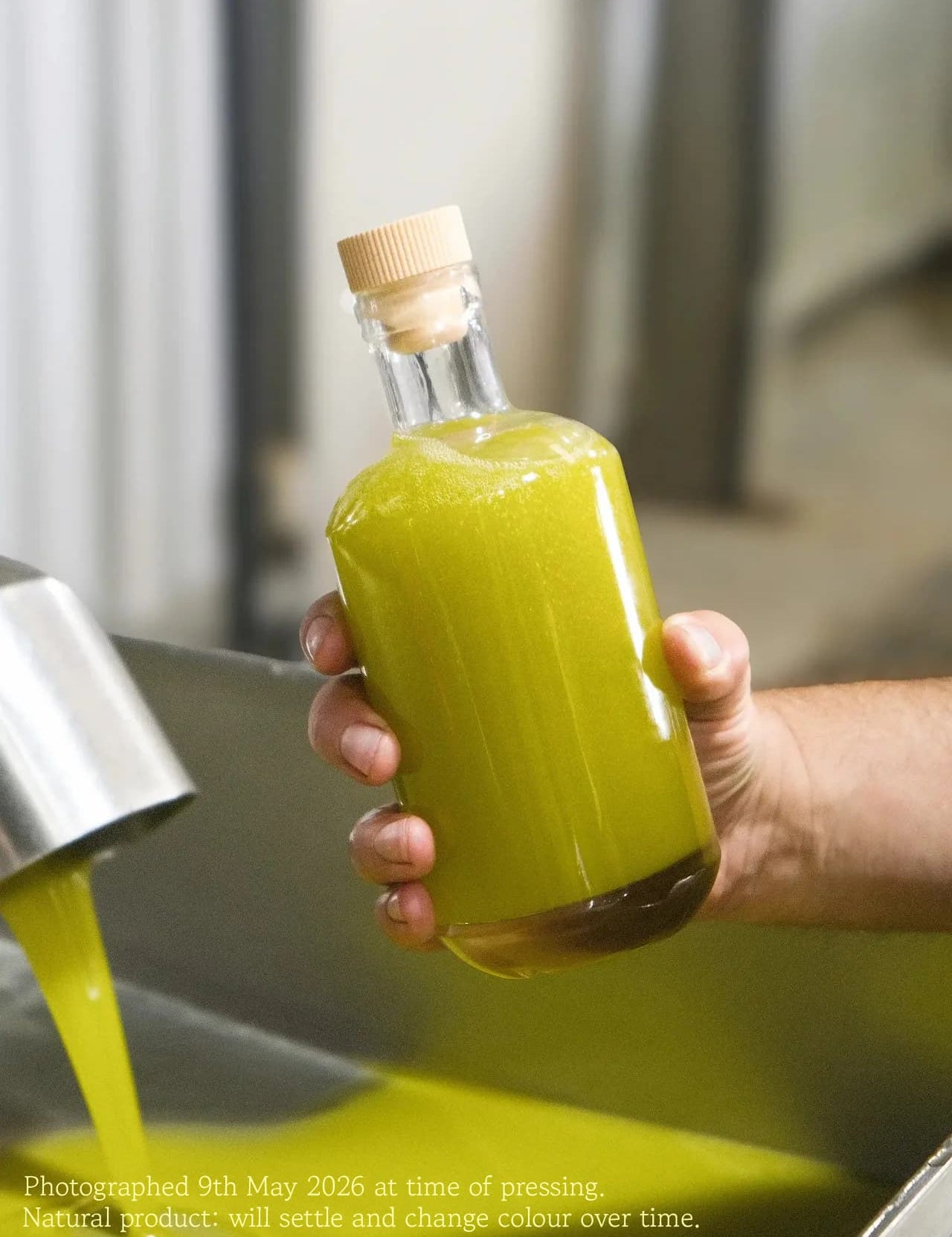 2026 First-Harvest Novello - Kangaroo Island Olives